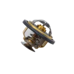 Termostat Ducato 1998-2006 Arası Modeller İçin 500329622