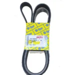 Alternatör Kayışı 1.3 Linea-Doblo (Euro 5) 55218886E